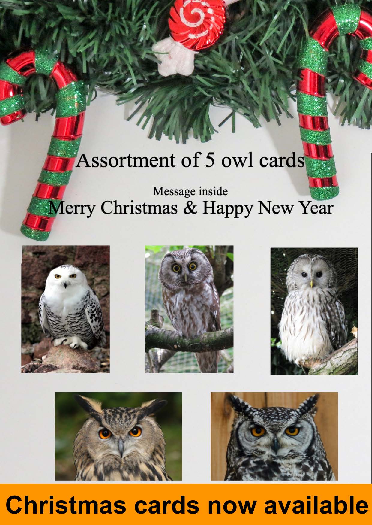 2023 Christmas Cards Pack 1